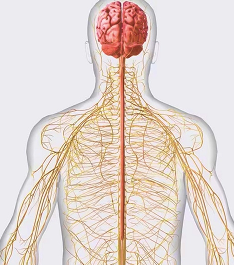 Nerve Reactivation Therapy